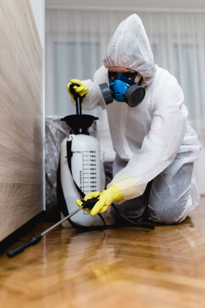 Reliable Granite Falls, WA Pest Control Solutions